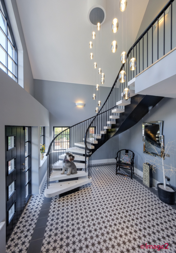 architectural photography showing staircase design complete with dog